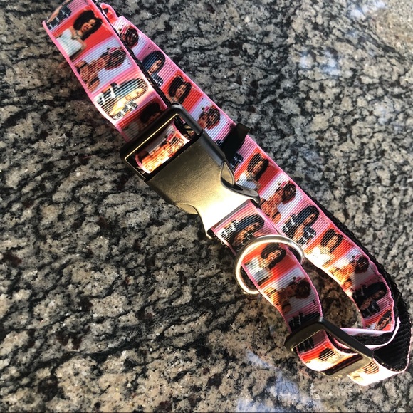 Cardi B Dog pet cat collar leash bundle gift set fashion icon rapper music lot - Picture 5 of 5